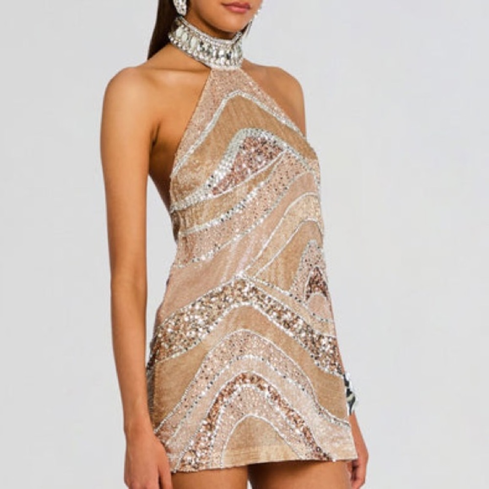 Retrofete Buffie Embroidered Dress in champagne - Picture 2 of 6